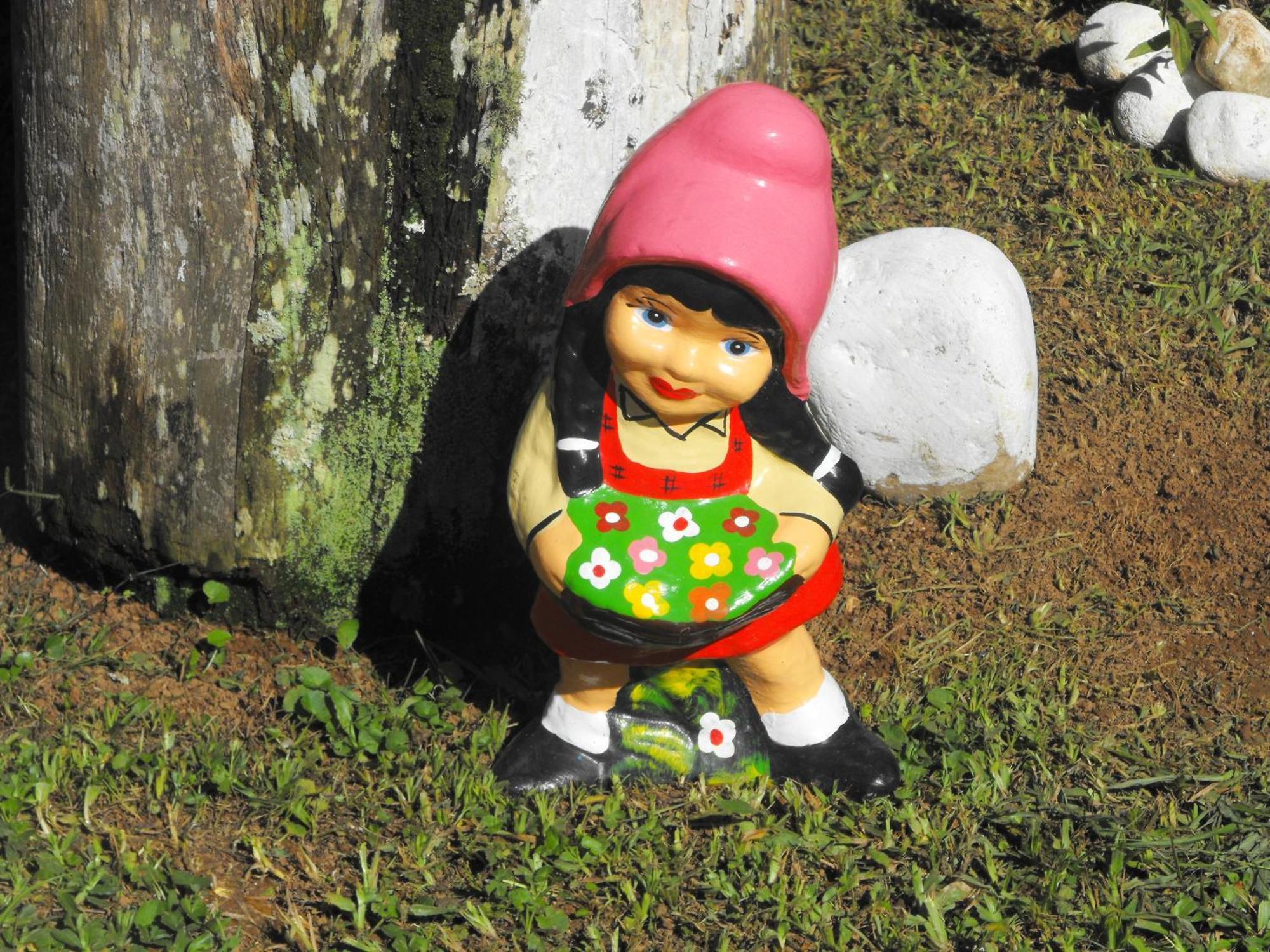 Pousada Cascata Dos Amores Teresópolis Eksteriør bilde