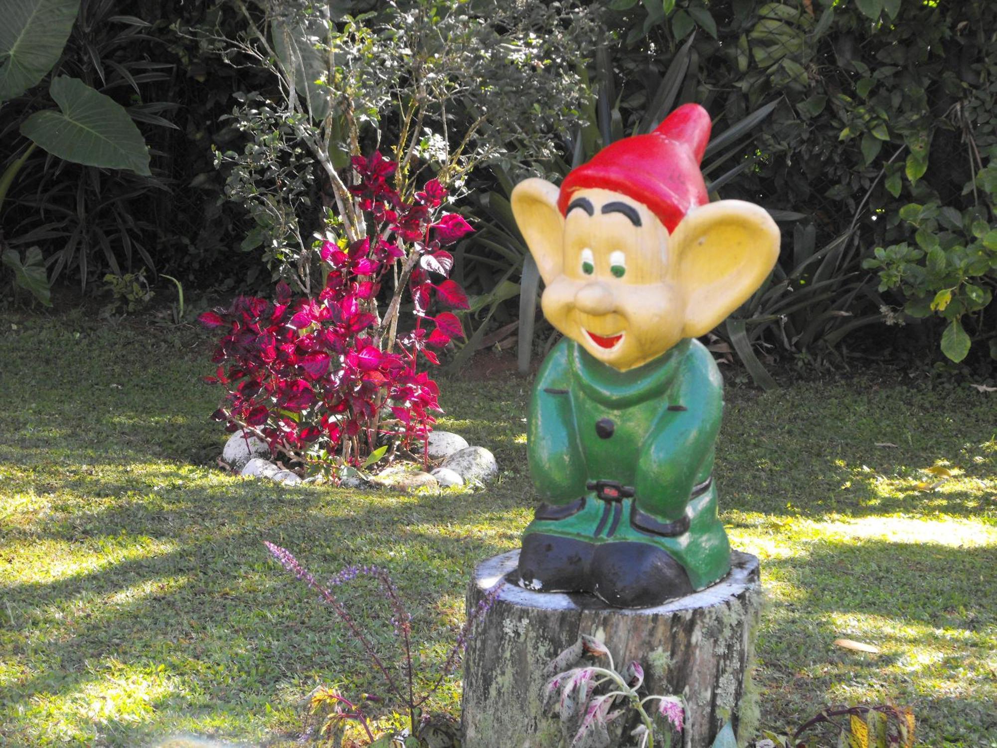 Pousada Cascata Dos Amores Teresópolis Eksteriør bilde