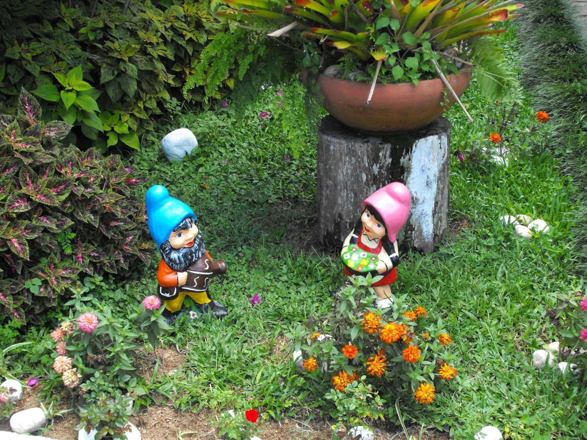 Pousada Cascata Dos Amores Teresópolis Eksteriør bilde